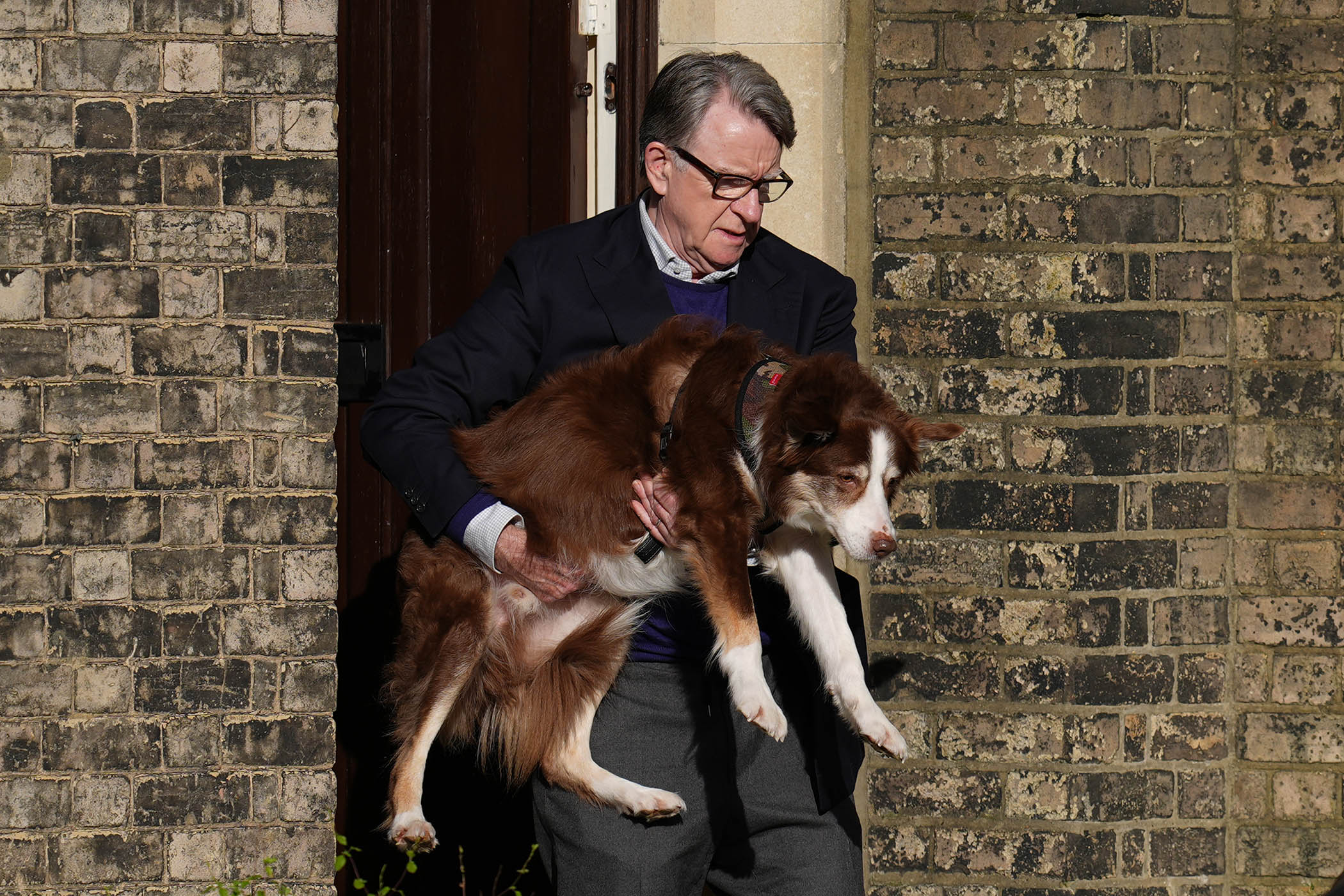 Lord Peter Mandelson carrying his dog whilst leaving his home in north west London, February 14, 2026