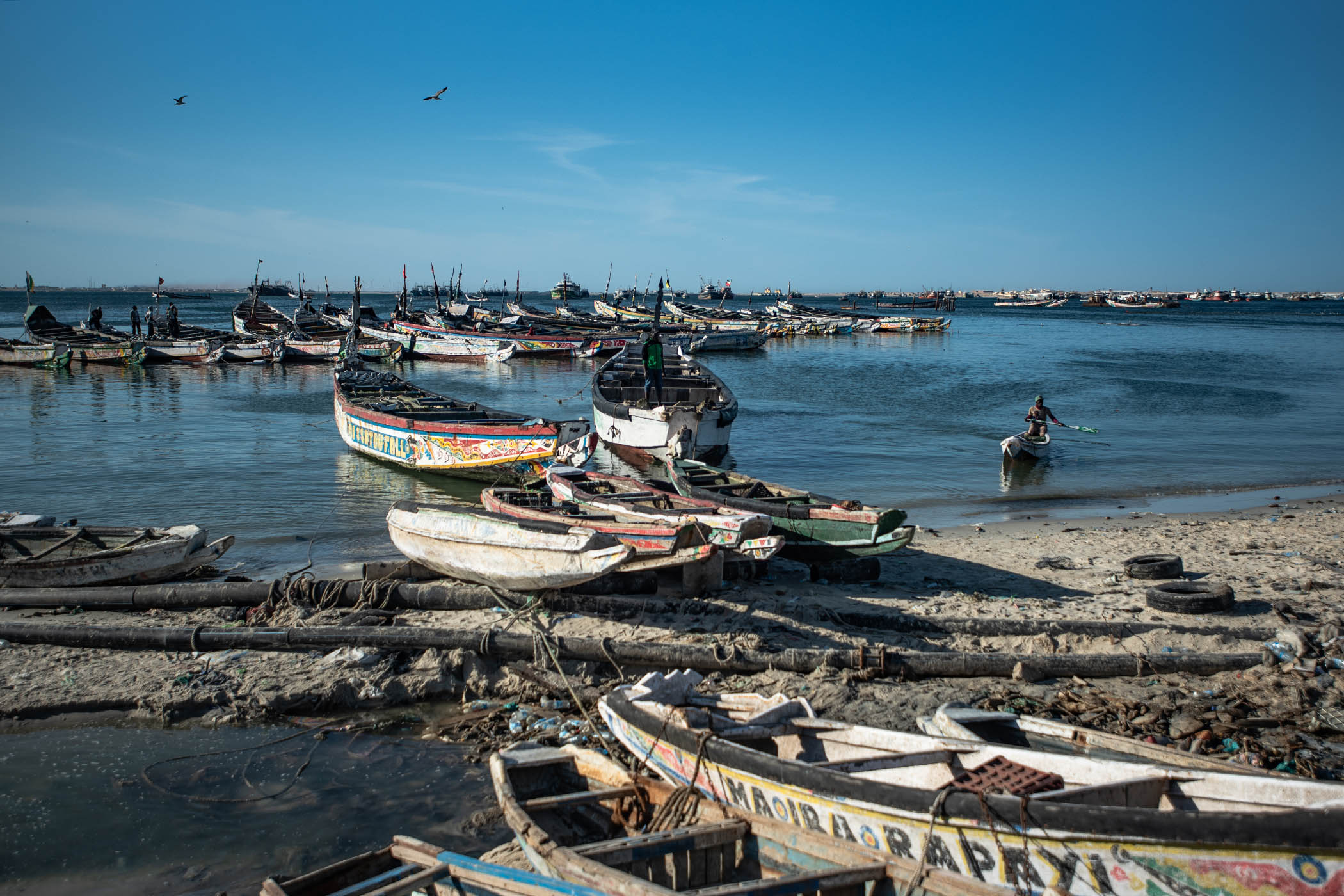 Migrants head out into the Atlantic for the 500-mile crossing in wooden fishing boats like these at Nouadhibou port