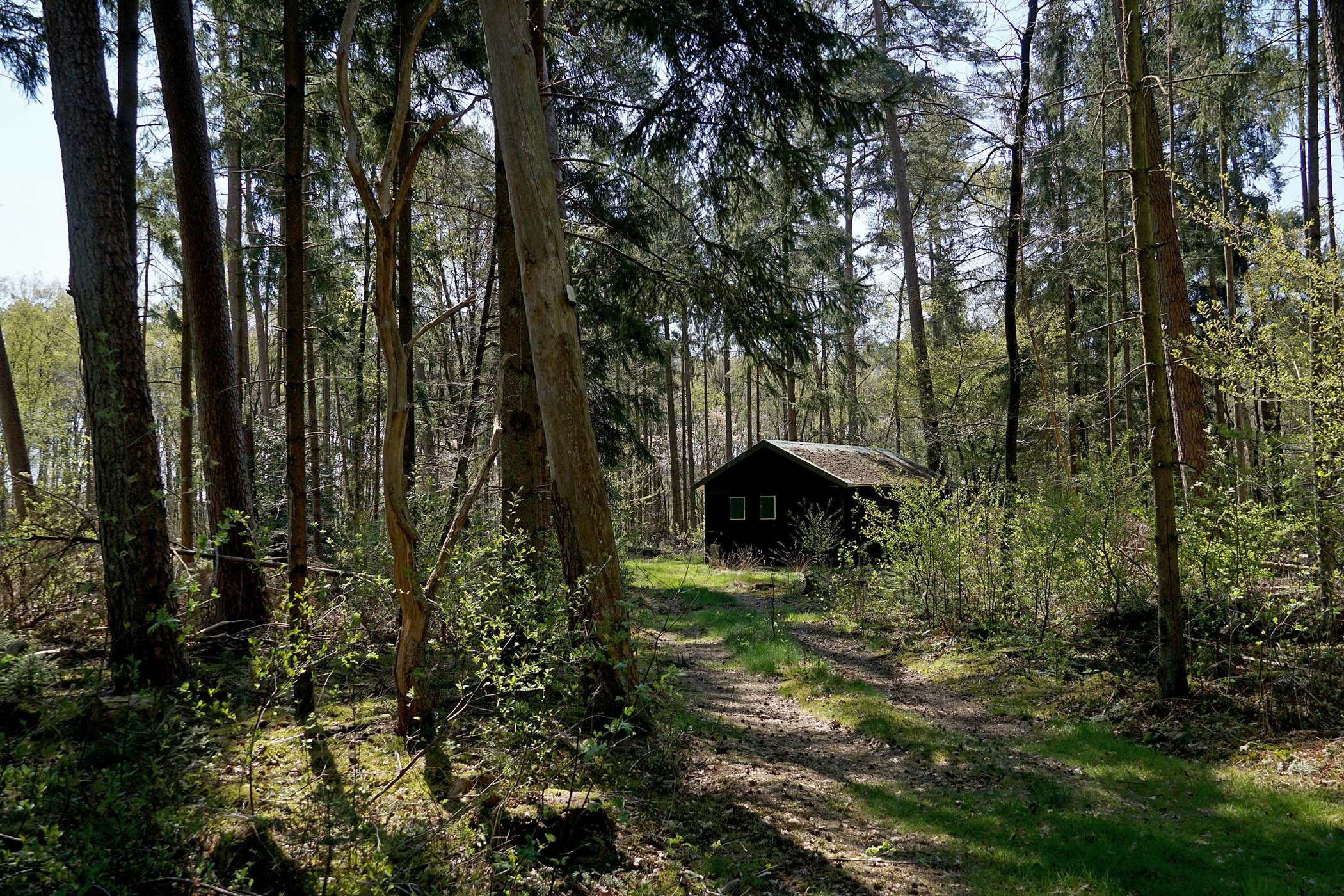 Makenna Goodman’s surreal cancel-culture comedy