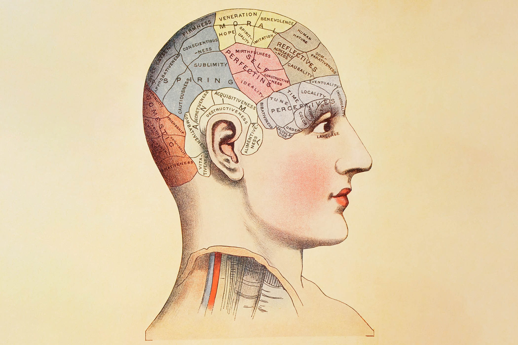 Michael Pollan tackles the hard problem of consciousness