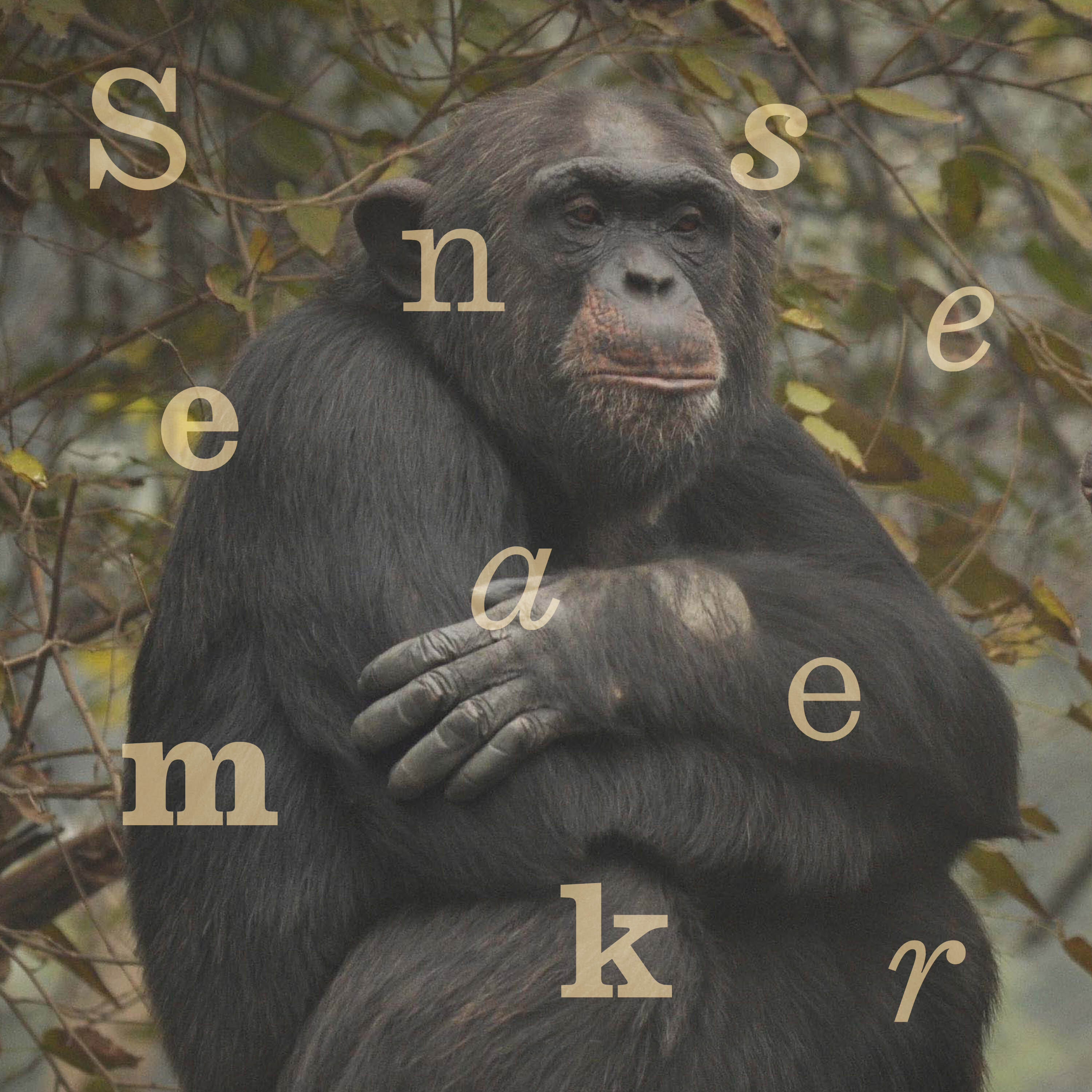 India’s Noah’s ark