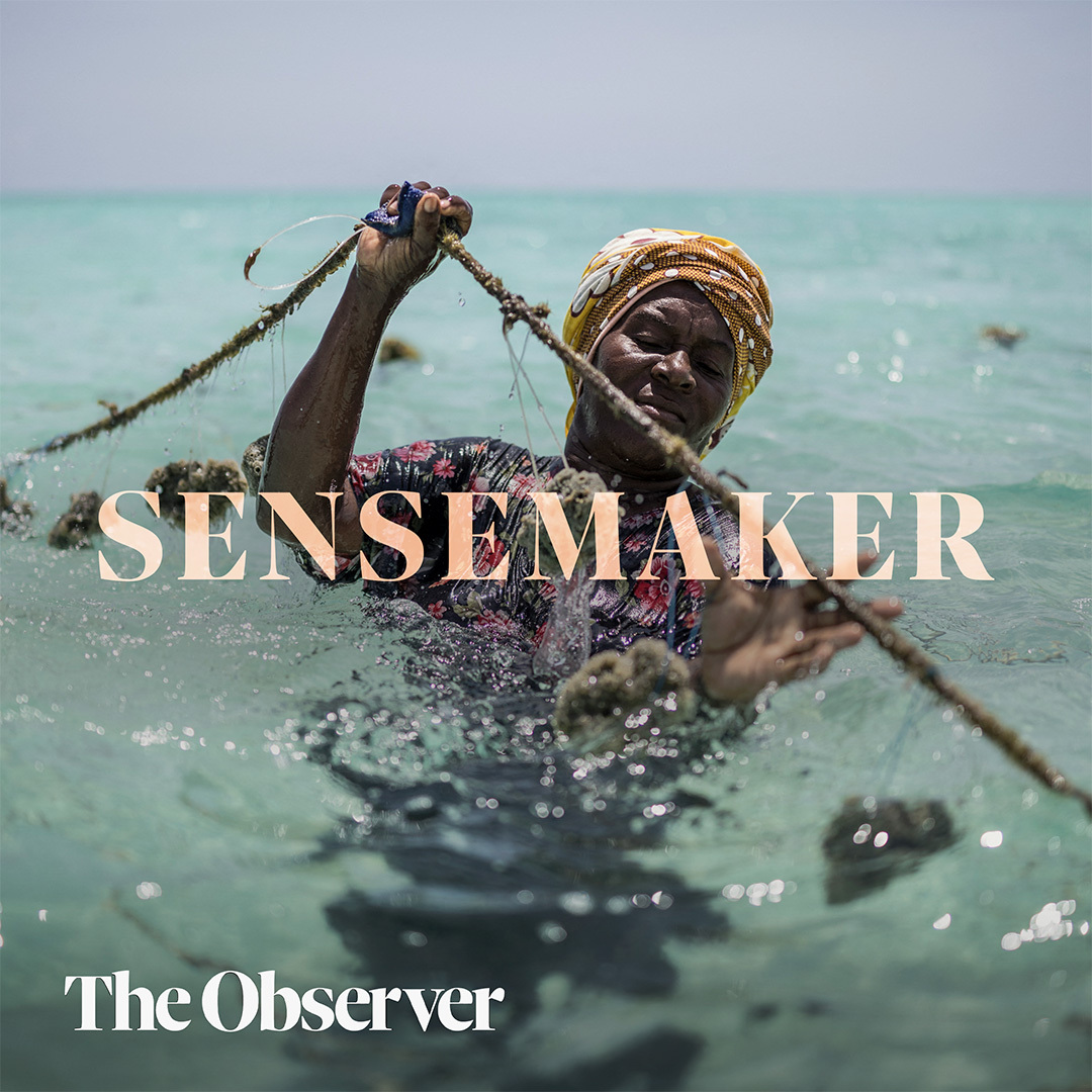 2.6 degrees is catastrophic