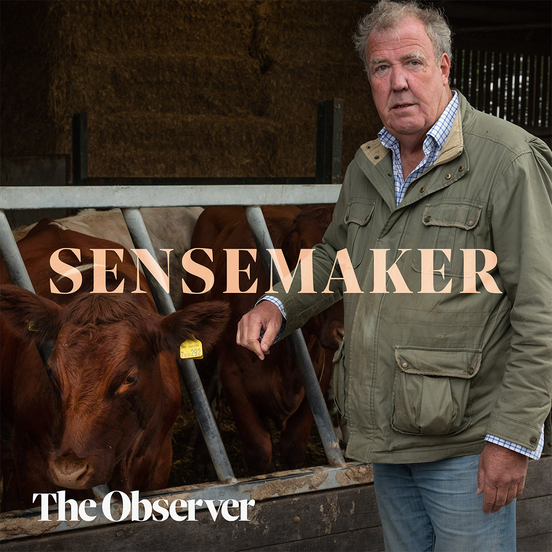 How bovine TB shut down Clarkson’s farm