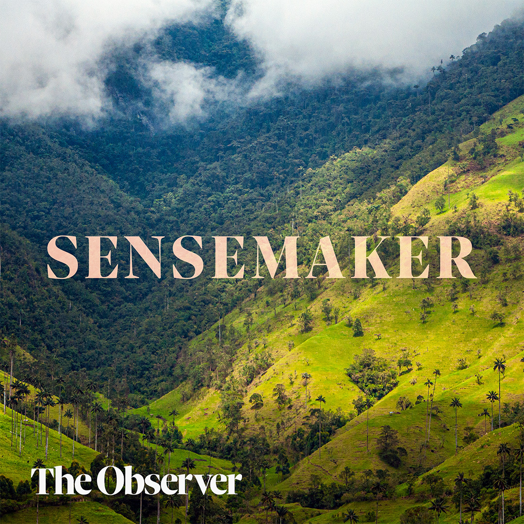 What are we losing when we turn forests into farmland?