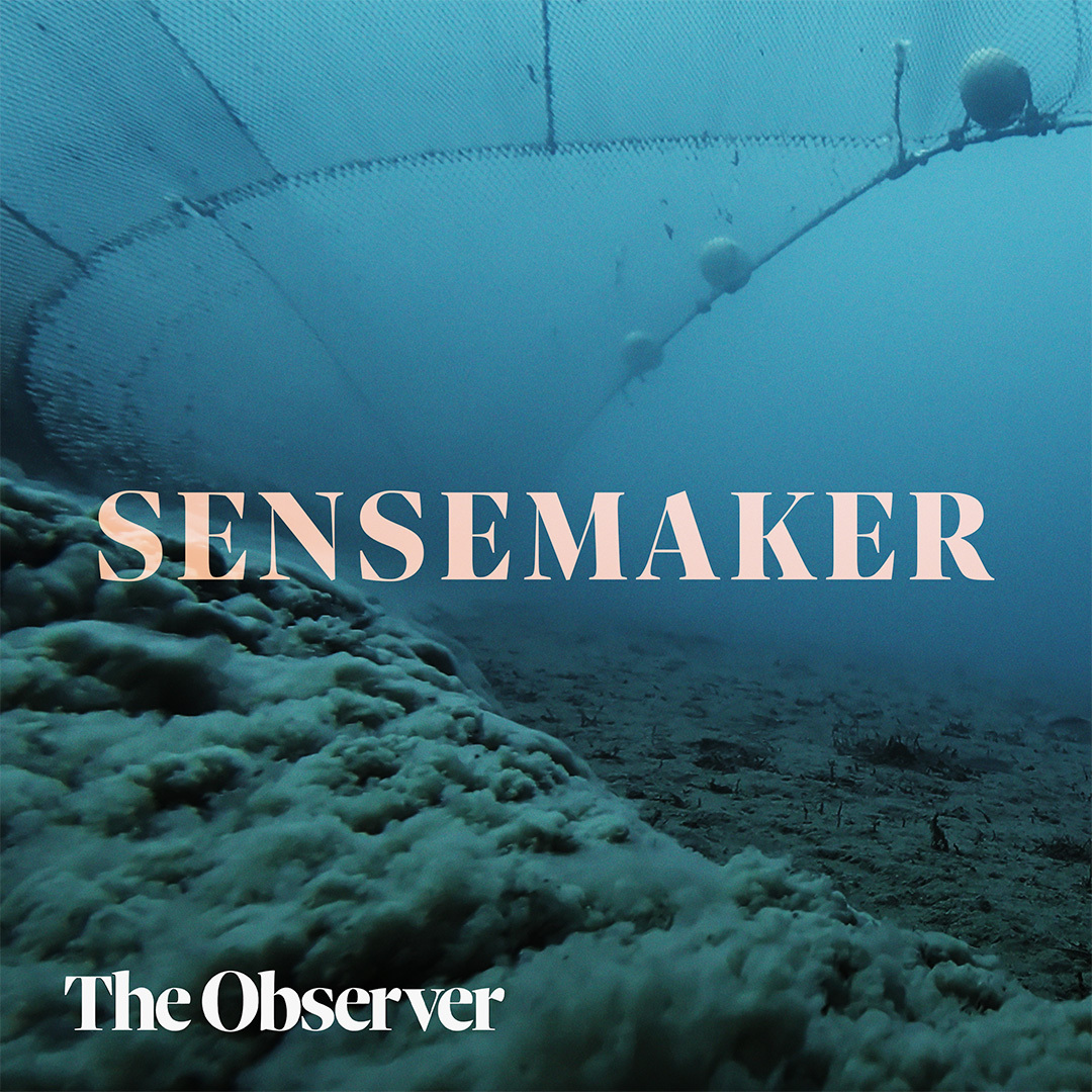 Bottom trawling: fishing’s dirty secret